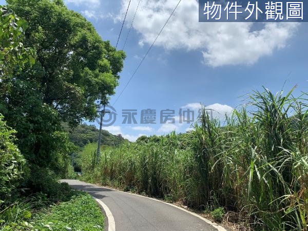 特定農業區 A-B 三空泉 近坪頂路 步道踏青