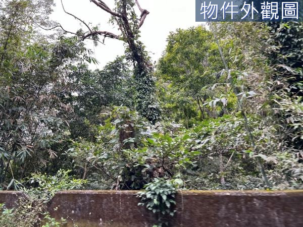 民宿露營區近市區~南庄山坡保育農地