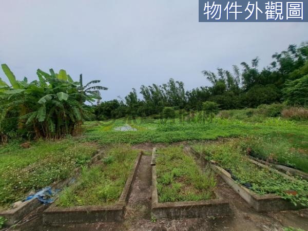 苗栗-苑裡    新桃花源-建地[甲建]