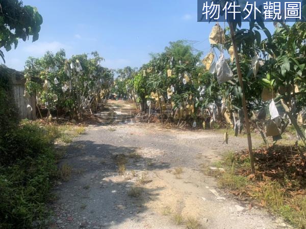 官田社子段持分(474坪)農地