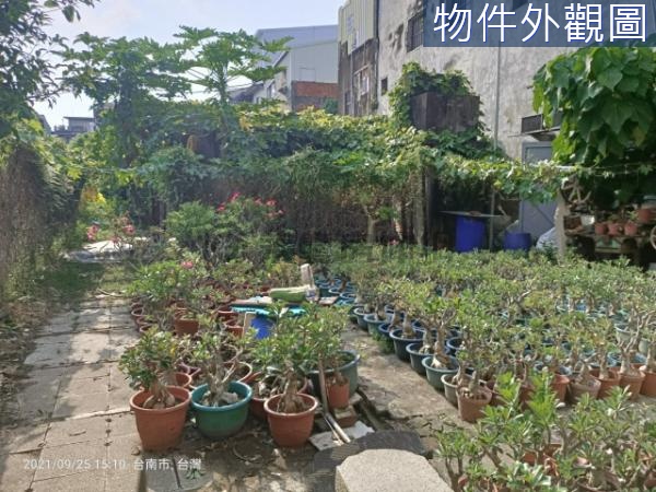 臨夢時代市中心203坪稀缺建地