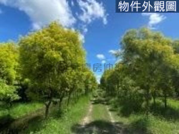 注意！烏山頭六甲都內農地臨裕農街-6