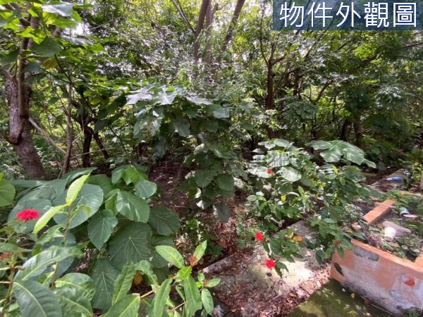 田中文教園區附近正15米路大建地..