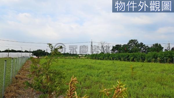 新埤省道旁面寬30米雙面路休閒快樂農場 