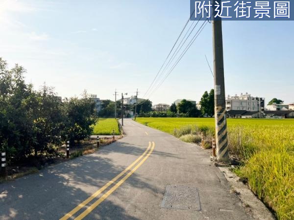 CX.大里區夏田產業園區甲建角地Ⅲ-V