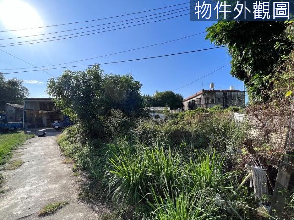 大發工業區★S廊道★好排間★美建地(Ⅱ)