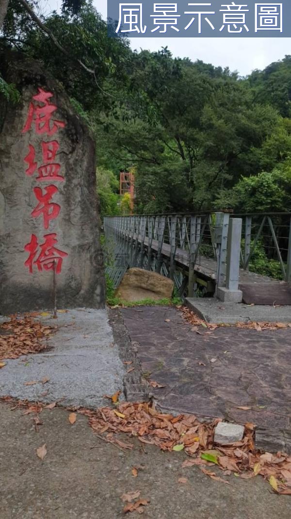 ⛳國姓🐒猴洞坑☘️巨葉榕步道 💯平坦桃樹美地