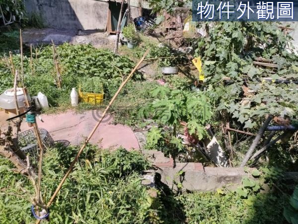 104桃園區近縱貫公路住二建地