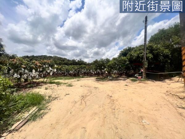 台南藝術大學旁都內保護區農地