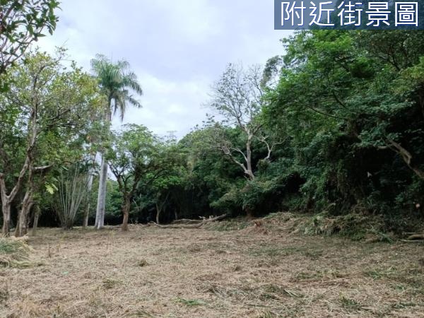 近義民路一段平坦丙建+農牧地