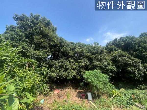 罕見1字頭 神岡千坪角建地 