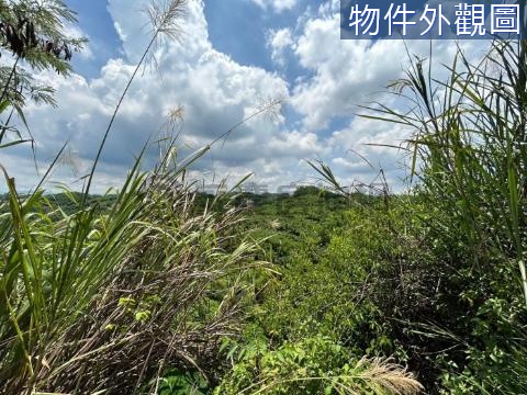 龍崎超便宜農保地3.2分 台南市龍崎區崎頂段