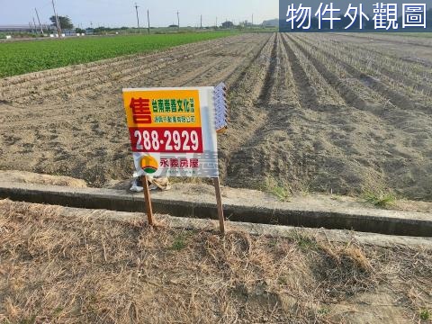 (專)佳里子龍2.7分農地 台南市佳里區子龍段