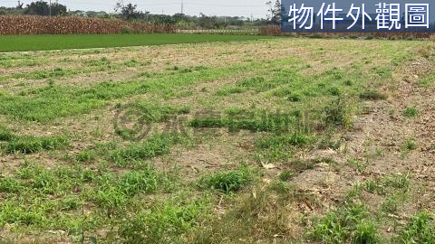 近台19線優質農地(三) 台南市安定區海寮段