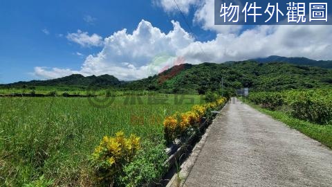 【專】新美山看海風景農地－B221 台東縣成功鎮新美山段