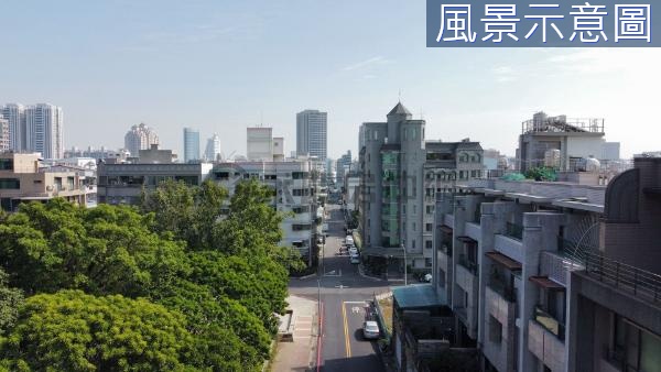 台南安平近市政中心稀有面公園三角窗企業總部