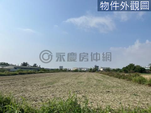 永康西勢國小附近3分3平坦優質農地 台南市永康區西勢段