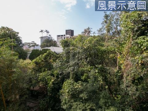 樹景陽光電梯套房 台北市北投區中山路
