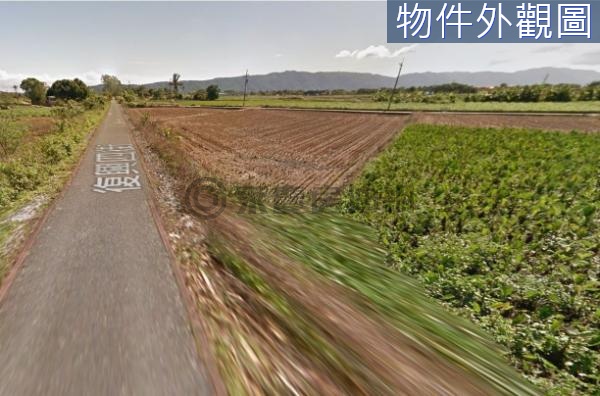 (L)花蓮金黃稻浪腳踏車道旁農牧用地