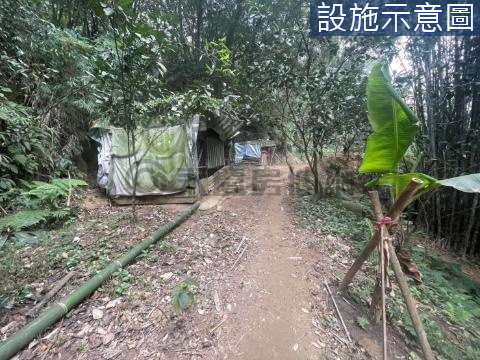 獨家公告現值超值農保地 新竹縣關西鎮下橫坑段