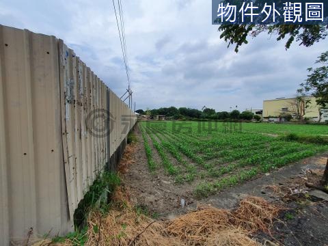 柳營臨路15米大面寬投資乙種工業地 台南市柳營區雙和段