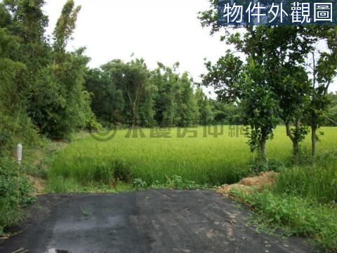 楊湖路一段農地(長紅段) 桃園市楊梅區長紅段