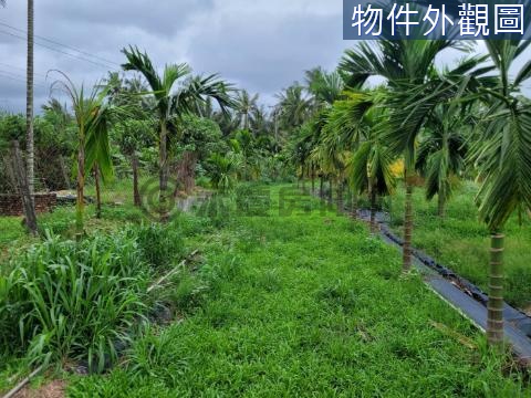 椰林合法農地可蓋農舍 屏東縣長治鄉復興段