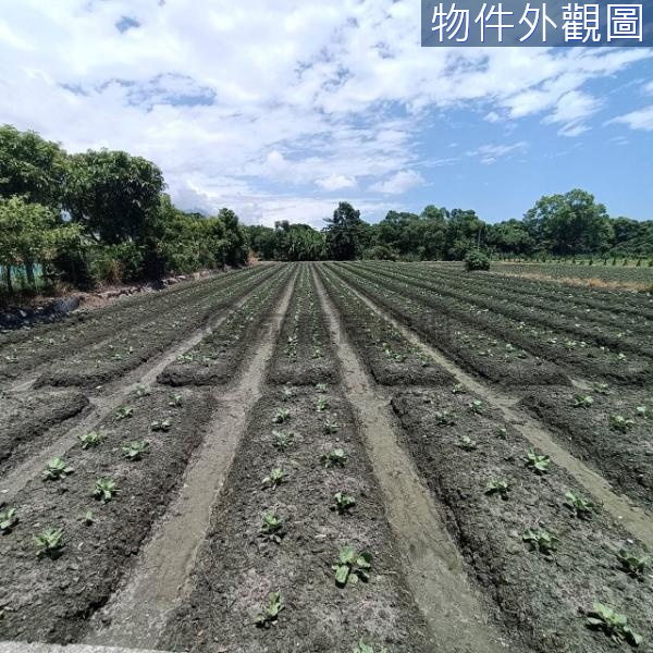 廣賢農社區小筆漂亮農地U12F