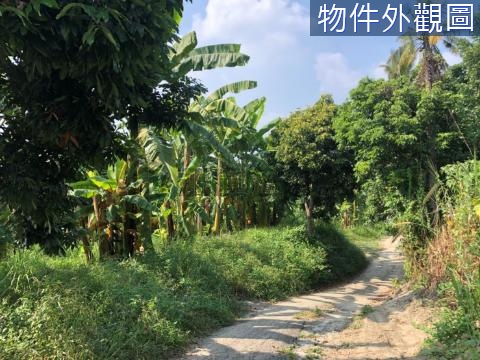 台南左鎮區超便宜漂亮農地忍痛釋出 台南市左鎮區左鎮段