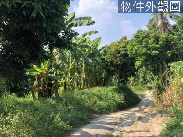 台南左鎮區超便宜漂亮農地忍痛釋出