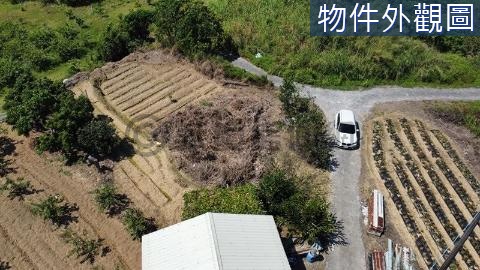 台南縣道一般農牧用地(一) 台南市山上區牛稠埔段
