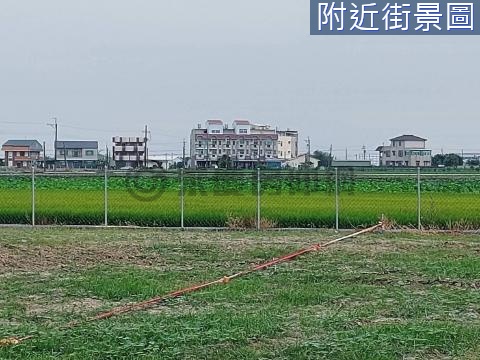 築夢莊園開心農場 台南市白河區大排竹段