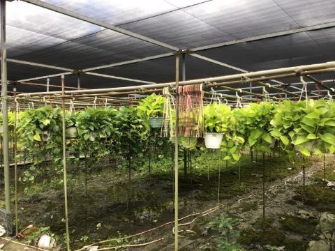 花園水道博物館雙面路2.6分美農地 台南市新市區東大社段